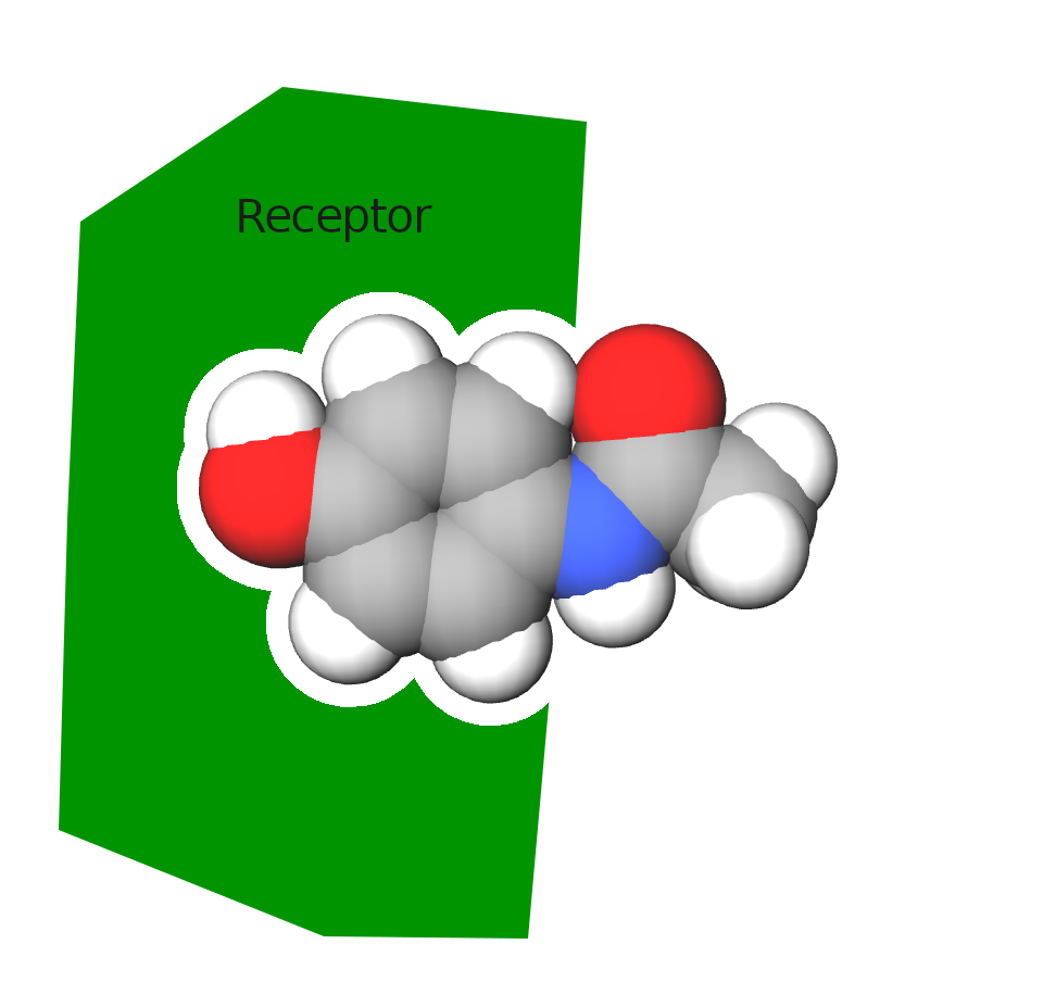 Look how the molecule fits perfectly into this receptor.