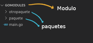 Diferencias entre modulos y paquetes en go