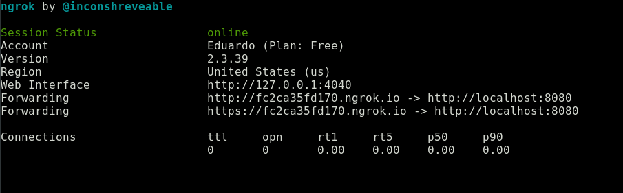 Información de Ngrok en la terminal